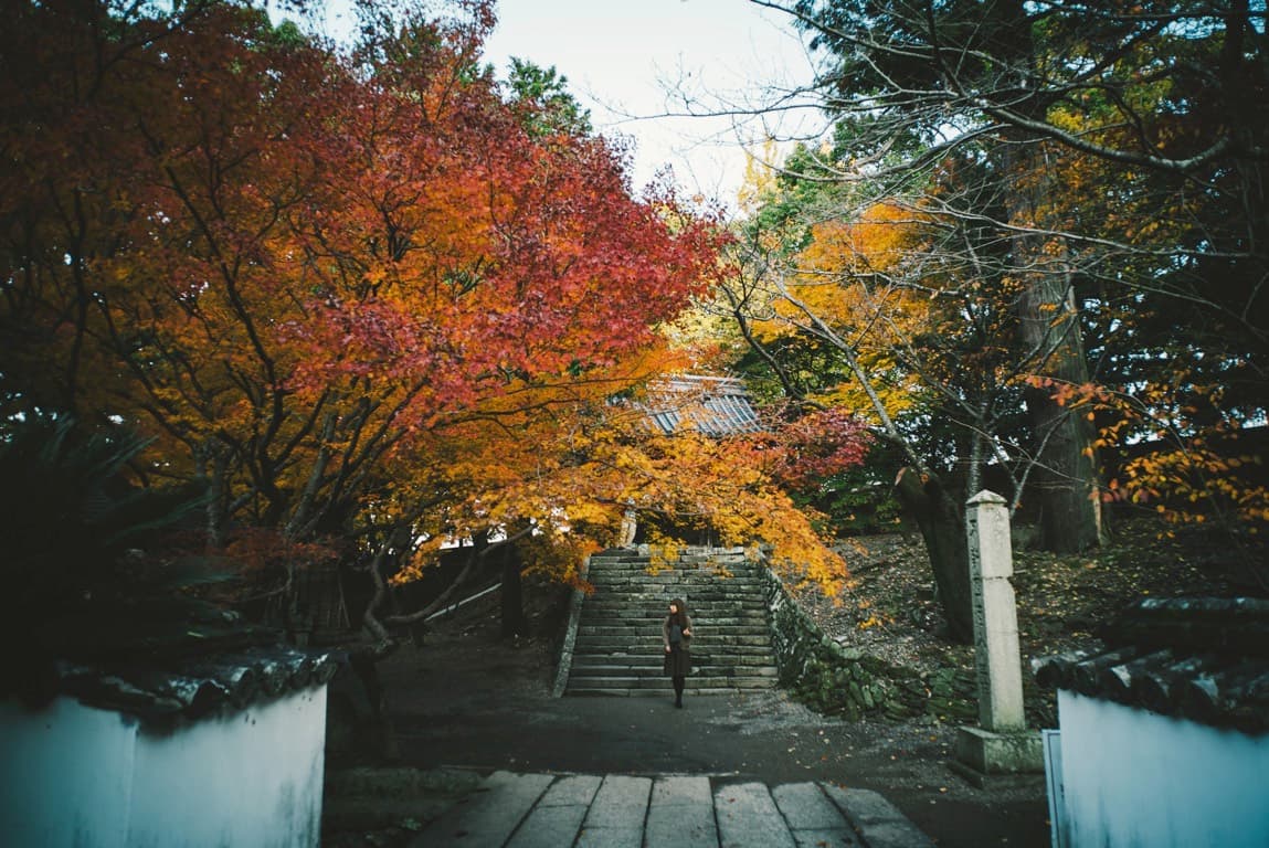 SONY a7シリーズとVoigtlander21mmF4で撮った秋の紅葉写真。