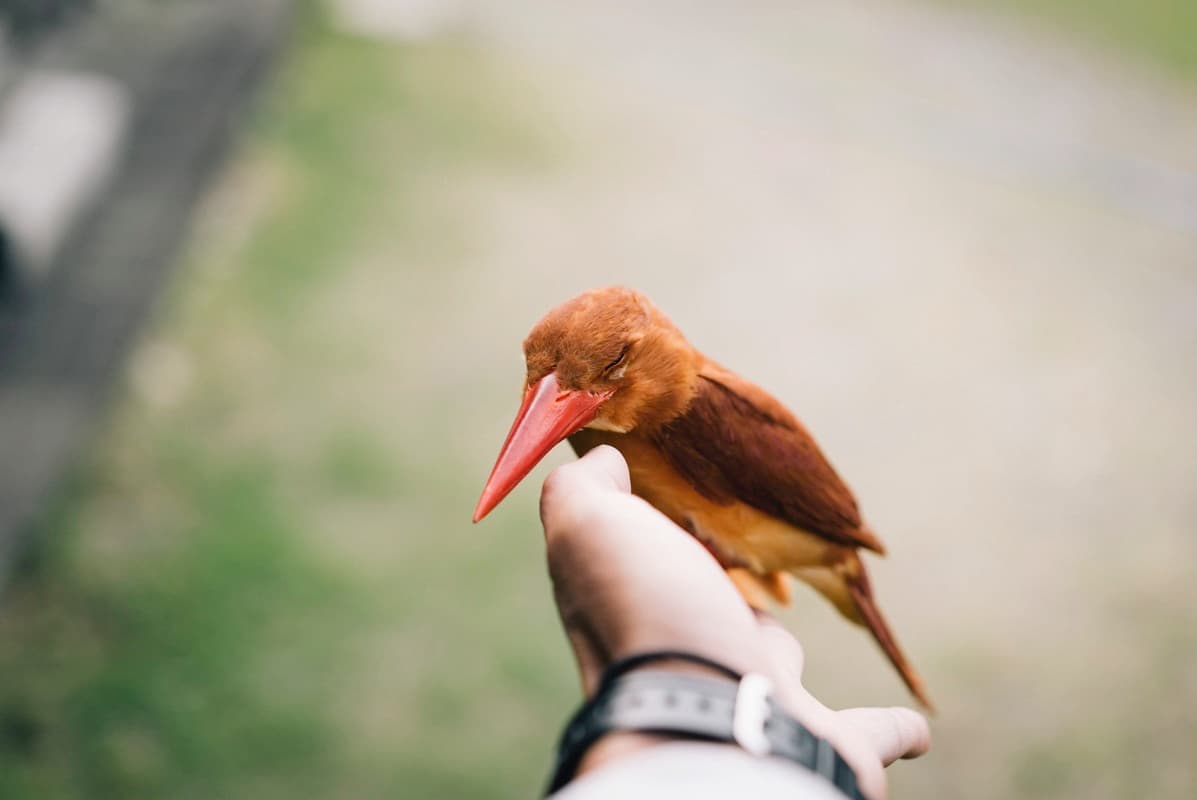 SONY a6300が思ってた以上にいい感じ