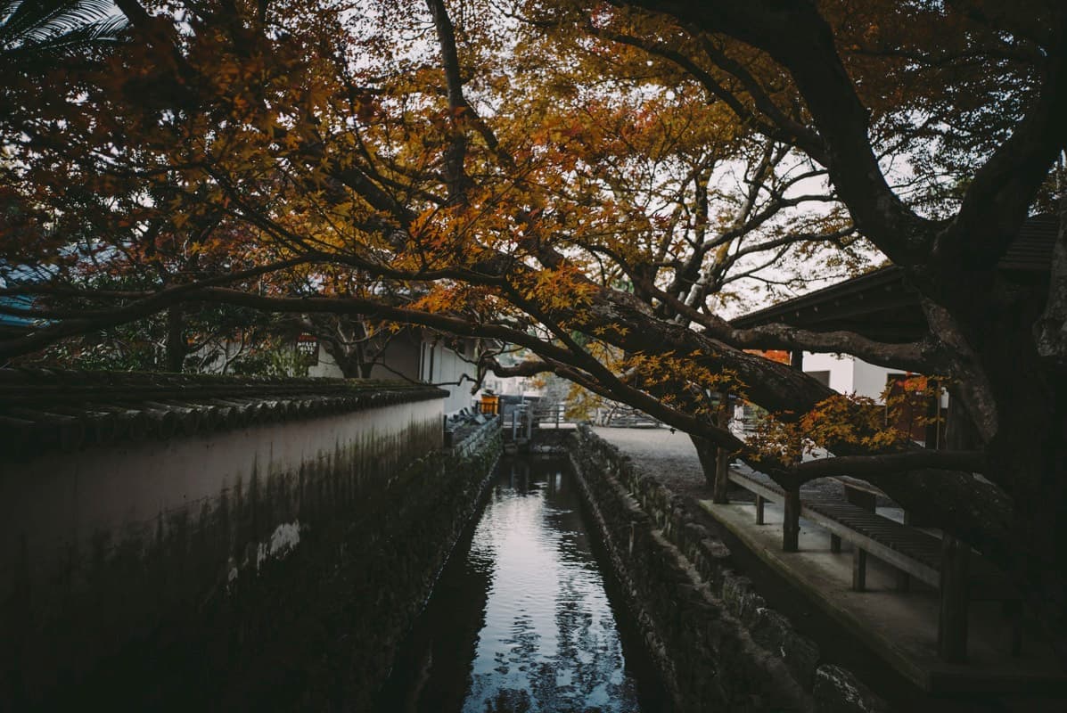 徳島県徳島市の丈六寺の紅葉