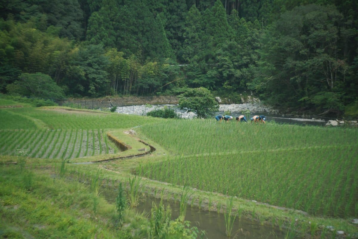 懐かしい写真