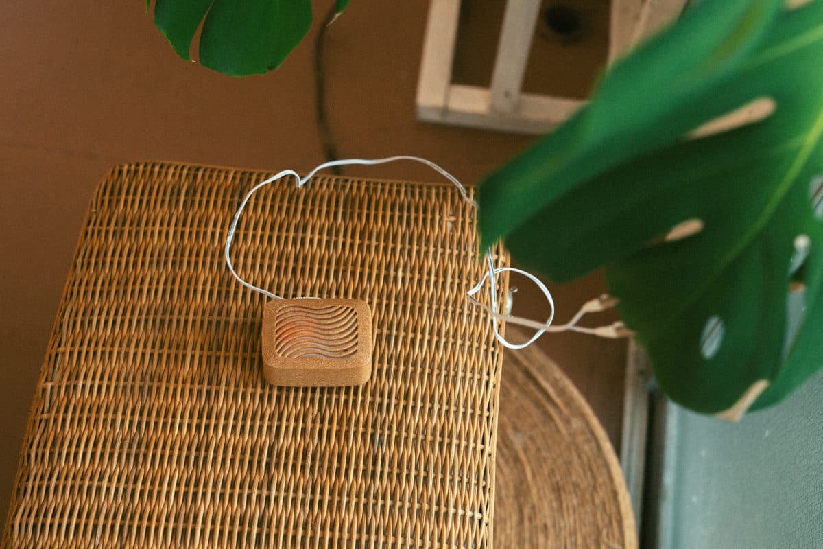 植物の音を抽出するPlantWaveを使った実験