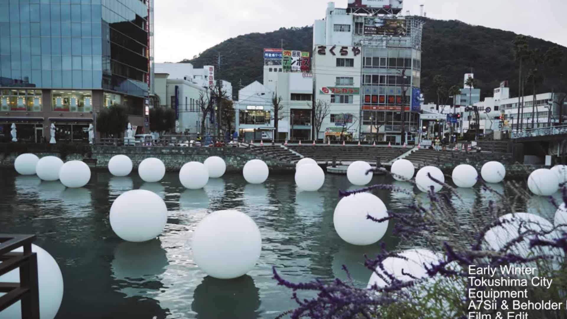 徳島市の練り歩き映像と、スティールパンの映像。