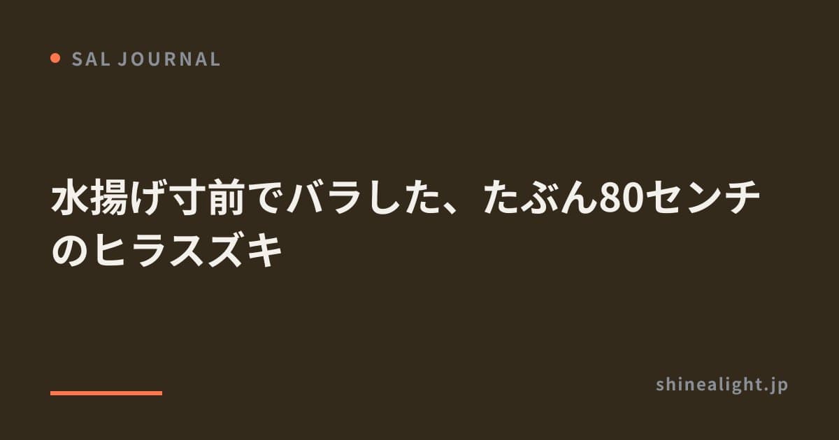 水揚げ寸前でバラした、たぶん80センチのヒラスズキ